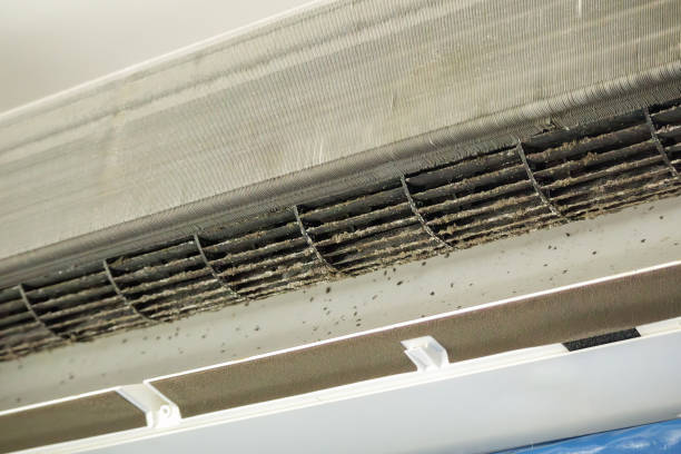 Best HVAC Duct Inspection Services  in Five Points, NC
